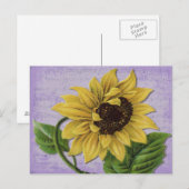 Carte Postale Pretty Sunflower (Devant / Derrière)