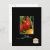 Carte Postale Preuve (Devant / Derrière)