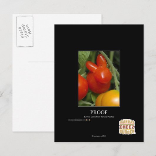 Carte Postale Preuve (Devant / Derrière)