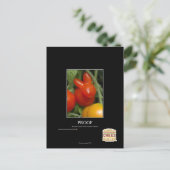 Carte Postale Preuve (Debout devant)