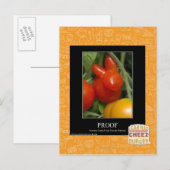 Carte Postale Preuve (Devant / Derrière)