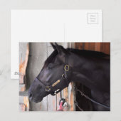 Carte Postale Preuve Bully par Bellamy Road-Flaming Slew (Devant / Derrière)