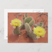 Carte Postale Prickley jaune (Devant / Derrière)
