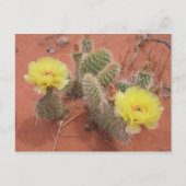 Carte Postale Prickley jaune (Devant)
