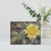Carte Postale Prickley Pear (Debout devant)