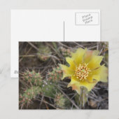 Carte Postale Prickley Pear (Devant / Derrière)