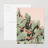 Carte Postale Prickley Pear Cactus (Devant / Derrière)