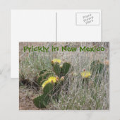 Carte Postale Prickly au Nouveau-Mexique (Devant / Derrière)