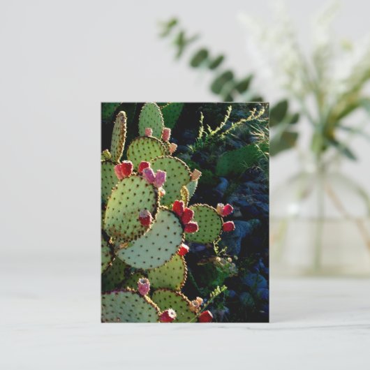 Carte Postale Prickly Pear Cactus (Debout devant)