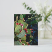 Carte Postale Prickly Pear Cactus (Debout devant)