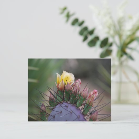 Carte Postale Prickly Pear Cactus (Debout devant)