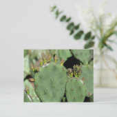 Carte Postale Prickly Pear Cactus Nature (Debout devant)
