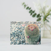 Carte Postale Prickly Ventura (Debout devant)