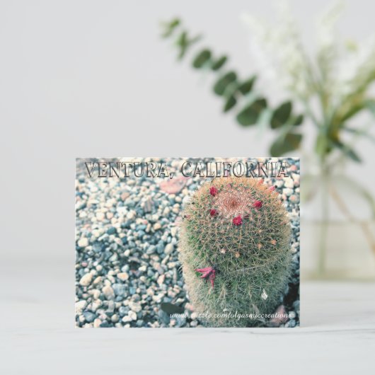 Carte Postale Prickly Ventura (Debout devant)