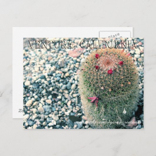 Carte Postale Prickly Ventura (Devant / Derrière)