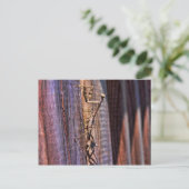 Carte Postale Prier Mantis (Debout devant)