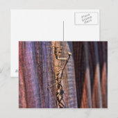 Carte Postale Prier Mantis (Devant / Derrière)