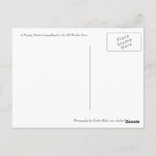 Carte Postale Prier Mantis (Dos)