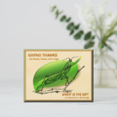 Carte Postale Prier Mantis Remercier (Debout devant)