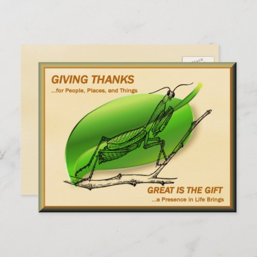 Carte Postale Prier Mantis Remercier (Devant / Derrière)