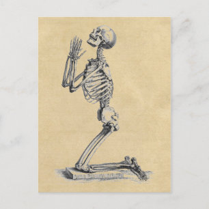 Carte Postale Prier Squelette Anatomie des os