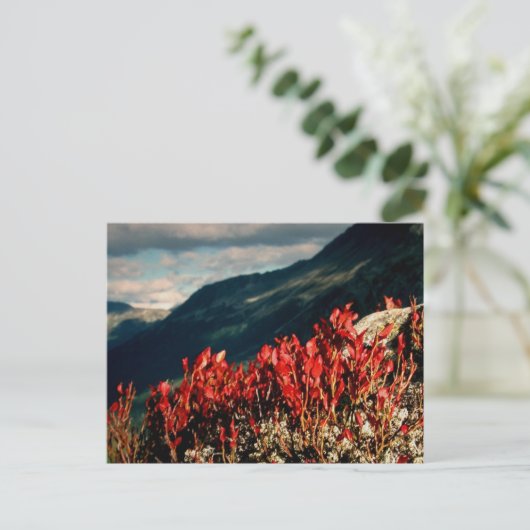 CARTE POSTALE PRIÈRE (Debout devant)