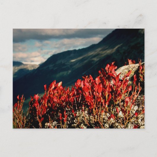 CARTE POSTALE PRIÈRE (Devant)