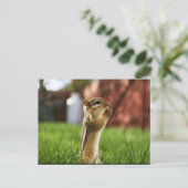 Carte Postale Prière Chipmun (Debout devant)