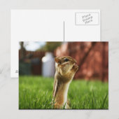 Carte Postale Prière Chipmun (Devant / Derrière)