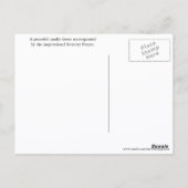 Carte Postale Prière de sérénité inspirée Forêt ensoleillée (Dos)