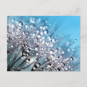 Carte Postale Prière Sérénité Sparkling Dew Sky Blue Arrière - p