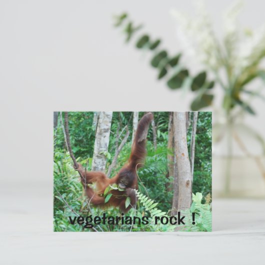 Carte Postale Primate Vegetariens Rock! (Debout devant)