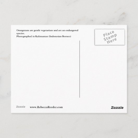 Carte Postale Primate Vegetariens Rock! (Dos)