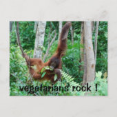 Carte Postale Primate Vegetariens Rock! (Devant)
