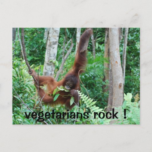 Carte Postale Primate Vegetariens Rock! (Devant)