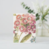 Carte Postale Primevère rose (Debout devant)