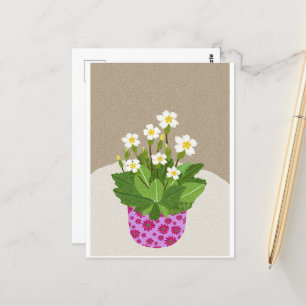 Carte postale Primrose