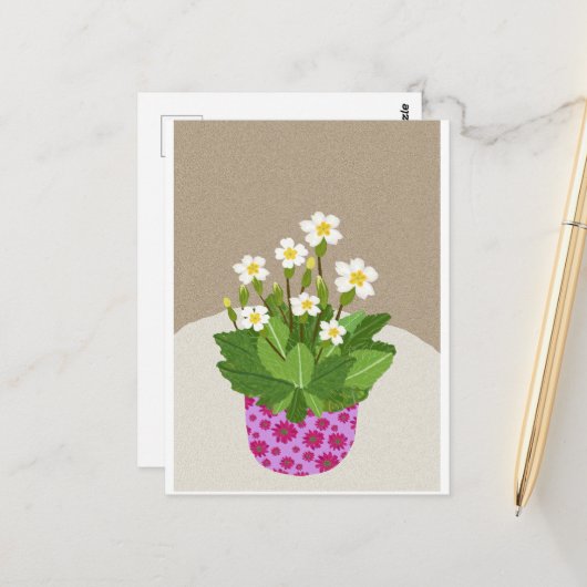 Carte postale Primrose (Devant/Arrière en situation)