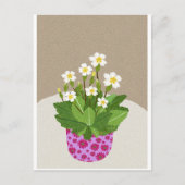 Carte postale Primrose (Devant)