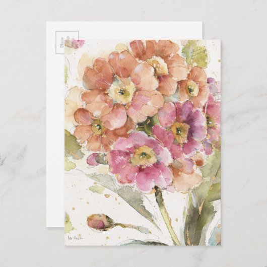 Carte Postale Primrose et orange (Devant / Derrière)