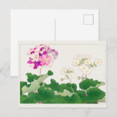 Carte Postale Primula par Tanigami Konan (Devant / Derrière)