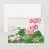 Carte Postale Primula par Tanigami Konan (Devant / Derrière)