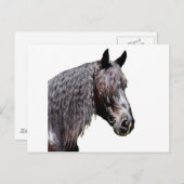 Carte Postale Prince (Devant / Derrière)