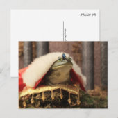 Carte Postale Prince de grenouille (Devant / Derrière)