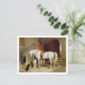 Carte Postale Prince George Favourites (Debout devant)