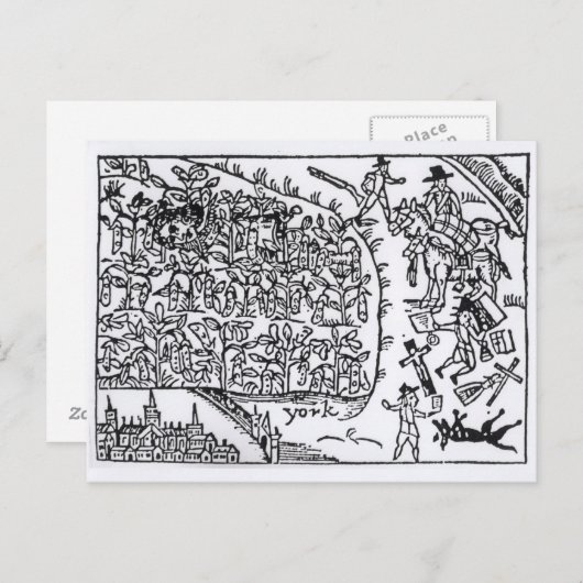 Carte Postale Prince Rupert se cachant dans un haricot (Devant / Derrière)