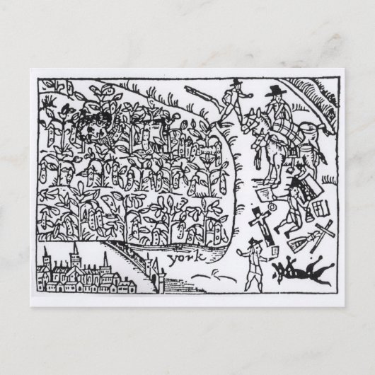 Carte Postale Prince Rupert se cachant dans un haricot (Devant)