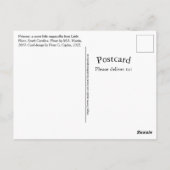 Carte Postale Princesse A Sweet Little Southern Ragamuffin Kitty (Dos)