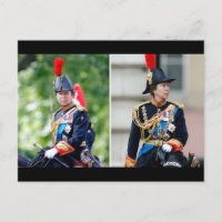 Princesse Anne en tant que régiment Colonel, Blues