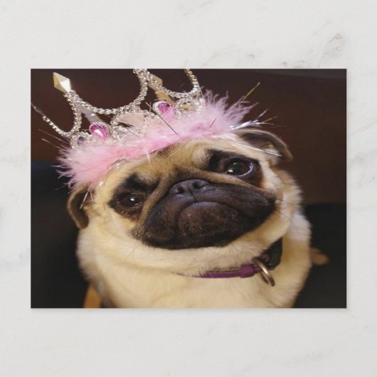 Carte Postale Princesse Pug (Devant)